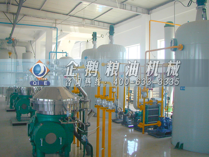 如何投資建設(shè)棕櫚油加工廠？企鵝糧油機(jī)械在線為您答疑解惑(圖2)